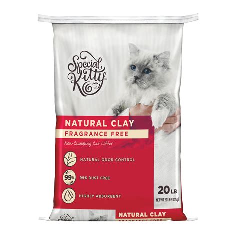 unscented non clumping cat litter.
